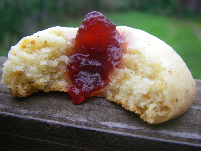 Bitten cranberry cookie