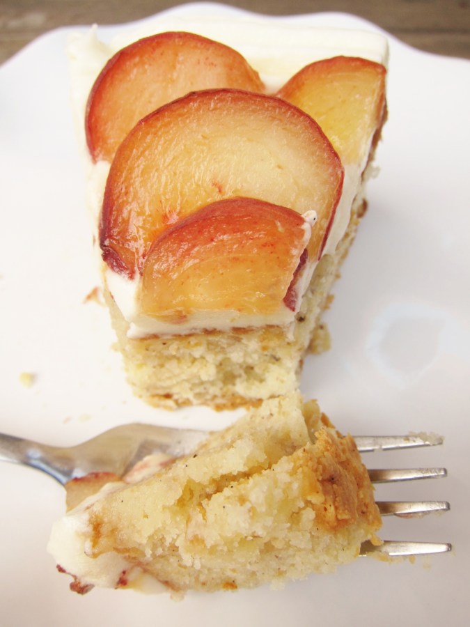 Slice of cake from front