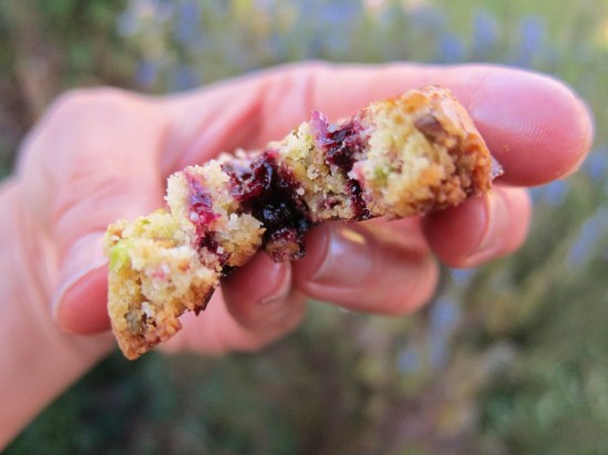Bitten cookie in hand
