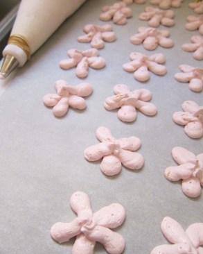 Hibiscus pistachio meringues (1)