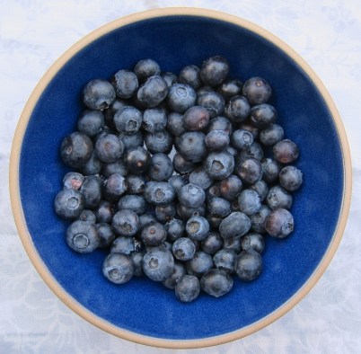 Blueberry Lavender cake (11)