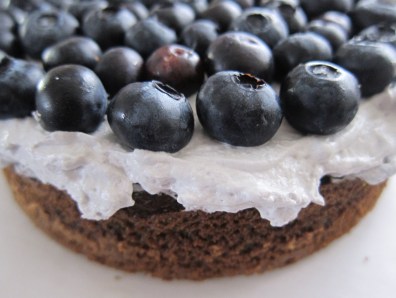 Blueberry Lavender cake (9)