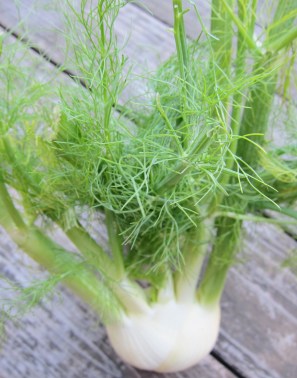 Lemony Fennel Cupcakes (130)