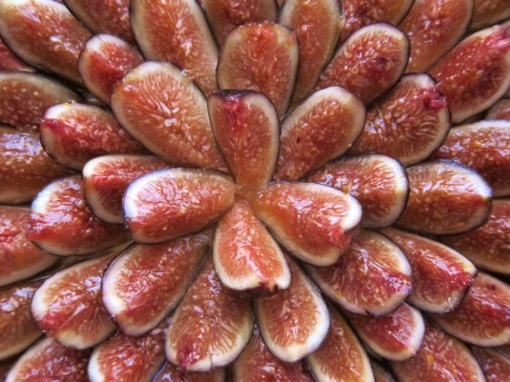 Mascarpone fig pie (5)