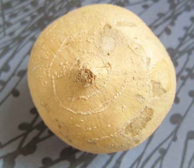 Jicama Lime Cake (70)