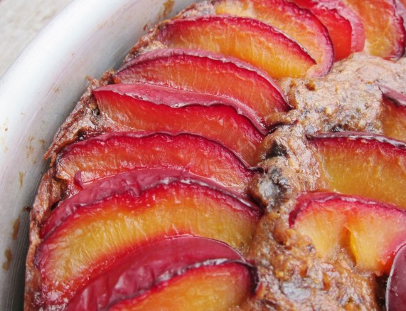 Double Plum Torte (16)