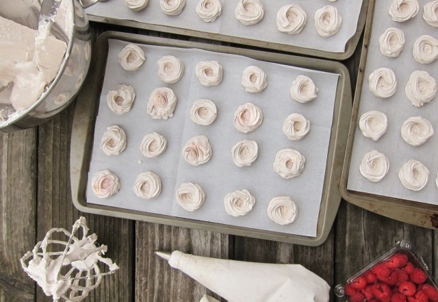 Raspberry Poppy Seed Meringues (3)
