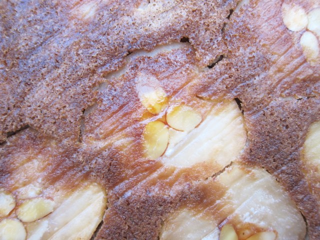 apple-almond-sherry-cake-29