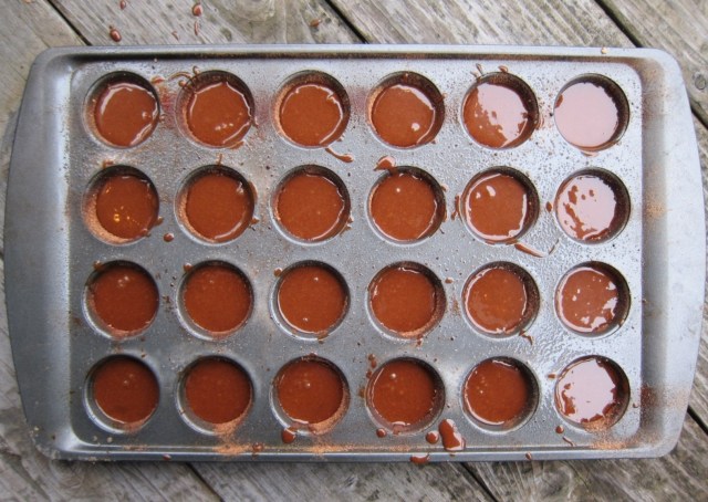 chocolate-raspberry-lavender-bites-6