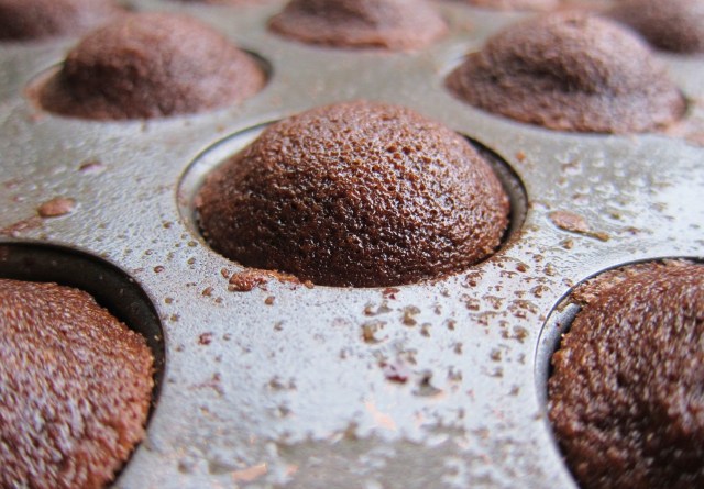 chocolate-raspberry-lavender-bites-7